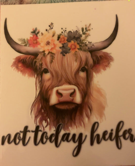 Not today! Highland