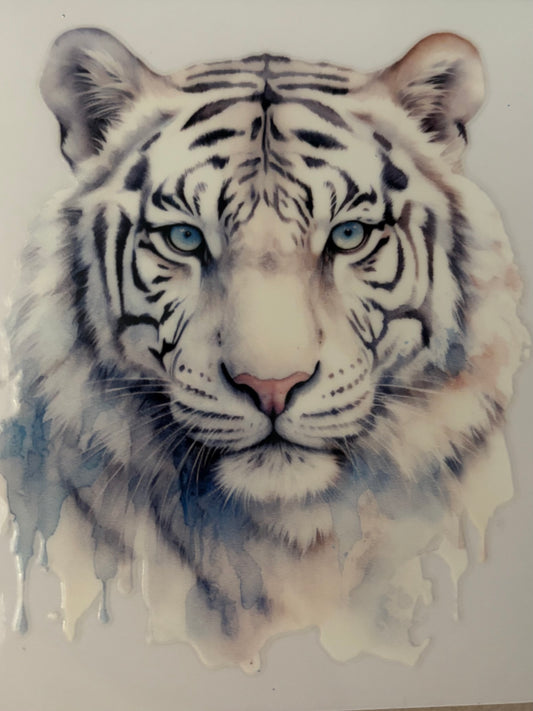 White tiger