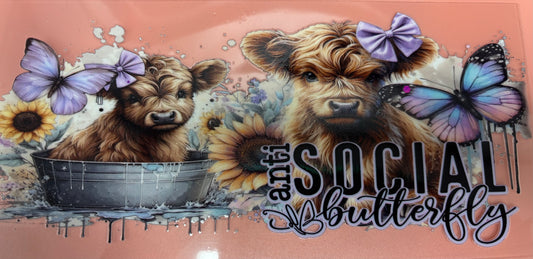 Highland cow anti wrap